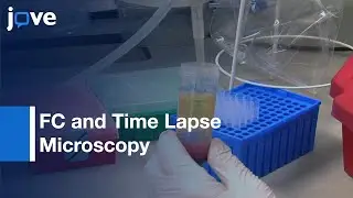 FC and Time Lapse Microscopy to Study the Interactions of Pathogens | Protocol Preview