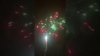 Poison ☠️ von ALDI #2025 #fireworks #pyro