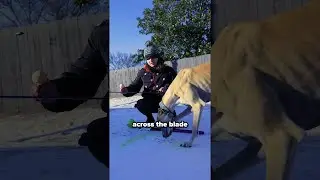 How To Clean Your Frozen Sword!