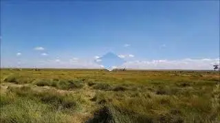 Amboseli (KENYA) 14.10.2025