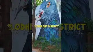 Discovering Lodhi Art District: Delhi's Hidden Gem Revealed! || DelhiSnap || #artdistrict