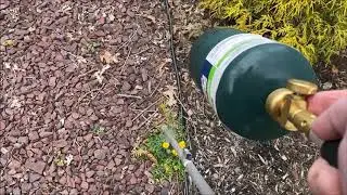 Quick & Easy Way To Get Rid of Weeds Using A Propane Torch