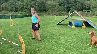 Ps&iacute; T&aacute;bor Herolky 2019