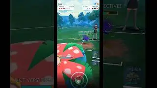 Day 5 Hunting for Shiny Shadow from Team Rocket Grunt / Pokemon go /#teamrocket#pvp#pokemon