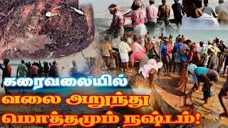 கரவலையில் வலை அறுந்து மொத்தமும் நஷ்டம்... 