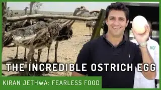 Visiting An Ostrich Farm For Eggs | Kiran Jethwa | Tales From The Bush Larder