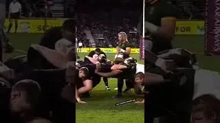 springbok rugby #rwc2023 #springboks #rugby #rugbylive  #rugbyworldcup2023