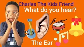 What Do You Hear? | Sense of Hearing for Kids 👂🎶