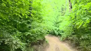 Black Diamond trail at Tall Pines ATV Park June 11, 2025