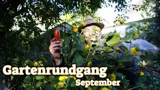 Gartenrundgang im September