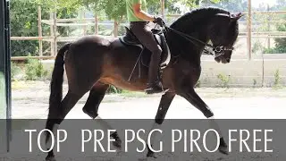 Impressive Mover PRE PSG level
