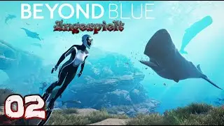 Beyond Blue - [Angezockt] - [2-3] - [4K  HD-PC] - #holydiver231