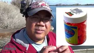 First Time Fishing At Contra Loma Reservoir Antioch, CA