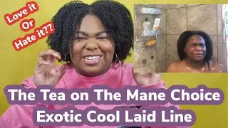 Wash Day & Wash And Go using Exotic Cool Laid Line by The Mane Choice