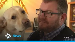 Dogs for veterans charity appealing for more support