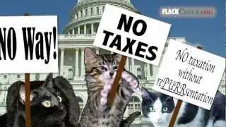 MoveOn.org 'Fat Cats' Impurrfect on Buffett Rule Facts - FlackCheck.org
