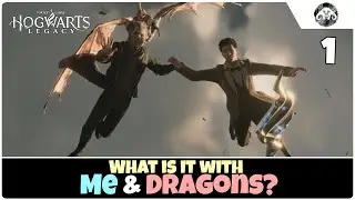 Hogwarts Legacy (HARD) #1 : What is it with me and dragons?