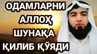 Бу холатда ислоҳот бўлмайди | Шайх Абдуллоҳ Зуфар Ҳафизаҳуллоҳ | Bu xolatda islohot bo‘lmaydi