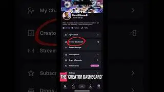 How To Save Twitch Streams To Phone (2025)