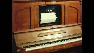 Dutch Nostalgia: From Music Box to Barrel Organ in Museum in Utrecht (1974)