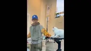 Unexpected Animal Ride: Hilarious Plot Twist!