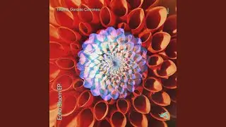 Echo Bloom