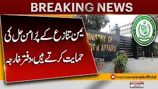 Pakistan Supports Peaceful Resolution of Yemen Conflict: Foreign Office | Pakistan News