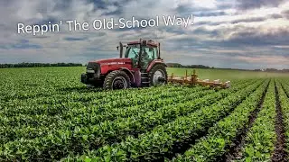 RowCrop Cultivating Soybeans | Illinois Farm Vlog #11