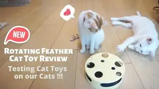 Rotating Feather Cat Toy Review &ndash; Keep Cats in 1 spot!