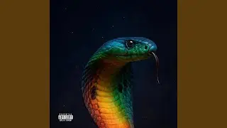 LG LG OPEN VERSE