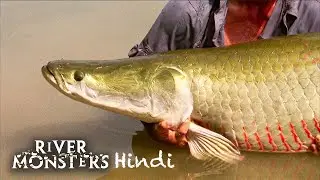 River Monsters Hindi S1E5 &ndash; Amazon Assassins ft. Arapaima | Ep 5