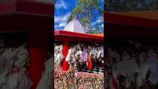 Almora ka famous sweets 🥰🥰#almora #viral #trending @poonamPritinegi16
