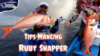Tips Mancing Ikan Ruby Snapper
