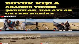 🔹 BÜYÜK KIŞLA 🔹 ARAZİDE YEMEK, ŞARKILAR, HALAYLAR, ORTAM HARİKA