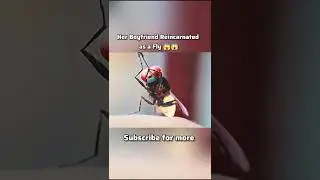 Her Boyfriend Reincarnated as a Fly 😱😱 #movieexplaininhindi #shorts