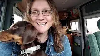 Finding Peace In And Around Chelmsford, Vanlife UK And Living wIth a dog
