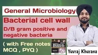 Bacterial cell wall | D/B gram positive and negative bacteria | Microbiology| Medico Paji