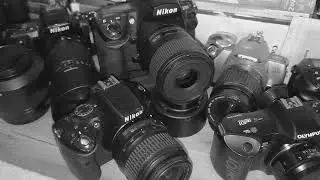 COLLECTIONS OF CAMERAS ARE FASCINATING AND DIVERSE, REFLECTING THE TECHNOLOGICAL EVOLUTION.