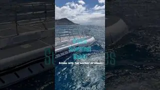 Atlantis Submarine Waikiki: a guide in Hawaii #viagemsemescalas #travel #hawaii