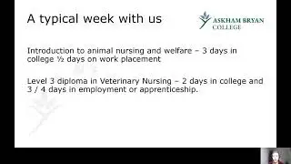 Vet Nursing Presentation
