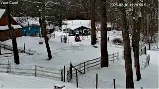 Goldy's  Yard  1102am  SiZZ Penny run down;1107am  to 1200pm JAnine plowing2162025