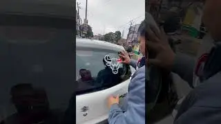 Bull sticker car #song ￼