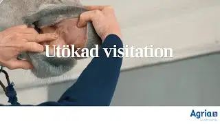 Utökad visitation – hästens slemhinnor, andning, puls och temperatur