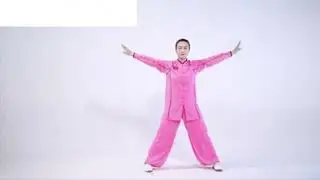 Qìgōng Bāduànjǐn    (八段锦)