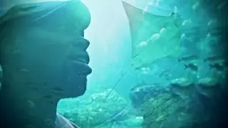 Rahan Boxley - Kuzama (Official Music Video)