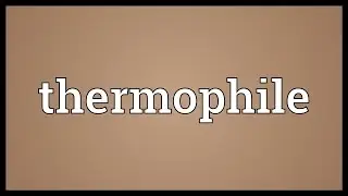 Thermophile Meaning