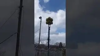Rillton, PA Fire/Tornado Siren Test, Federal Signal 3T22B