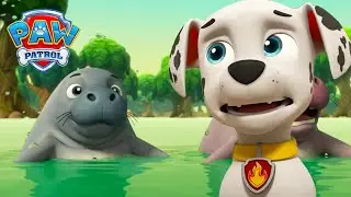 De zeekoe is vrij! Marshalls epische reddingsactie op zee 🌊 | PAW Patrol Nederlands