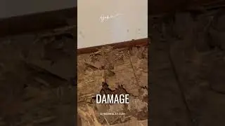 TERMITES ARE DESTROYING MY PROPERTY - Realtor in Moore, OKC