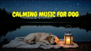 Dog Sleep Music for Home Alone Calming Therapy 🐕🎵 | 12 HOURS of Gentle Melodies for Pets